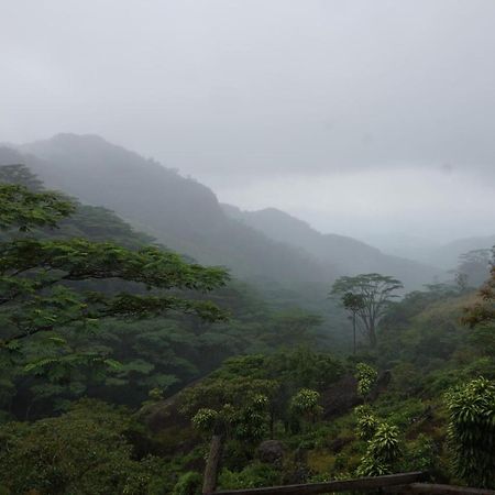 Jungle Tree House Rangala Bed and Breakfast Kandy Buitenkant foto