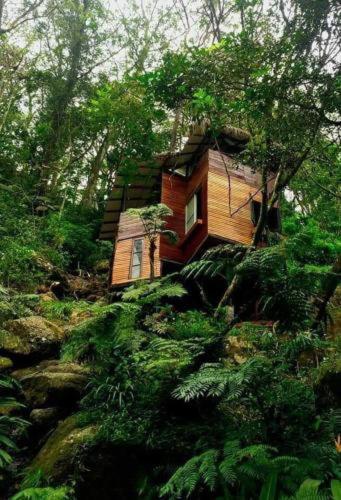Jungle Tree House Rangala Bed and Breakfast Kandy Buitenkant foto