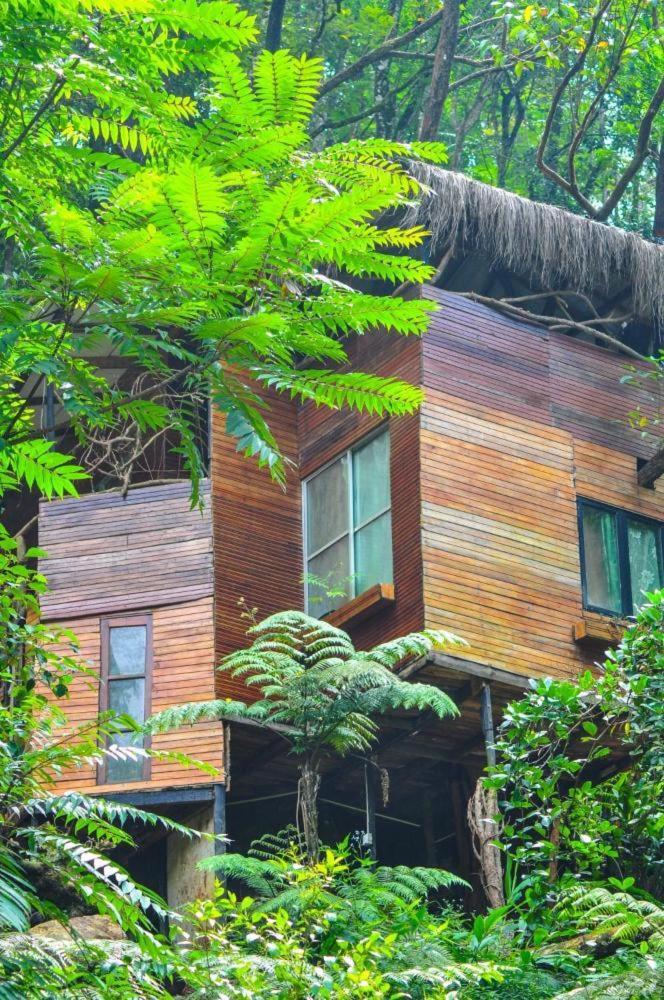 Jungle Tree House Rangala Bed and Breakfast Kandy Buitenkant foto