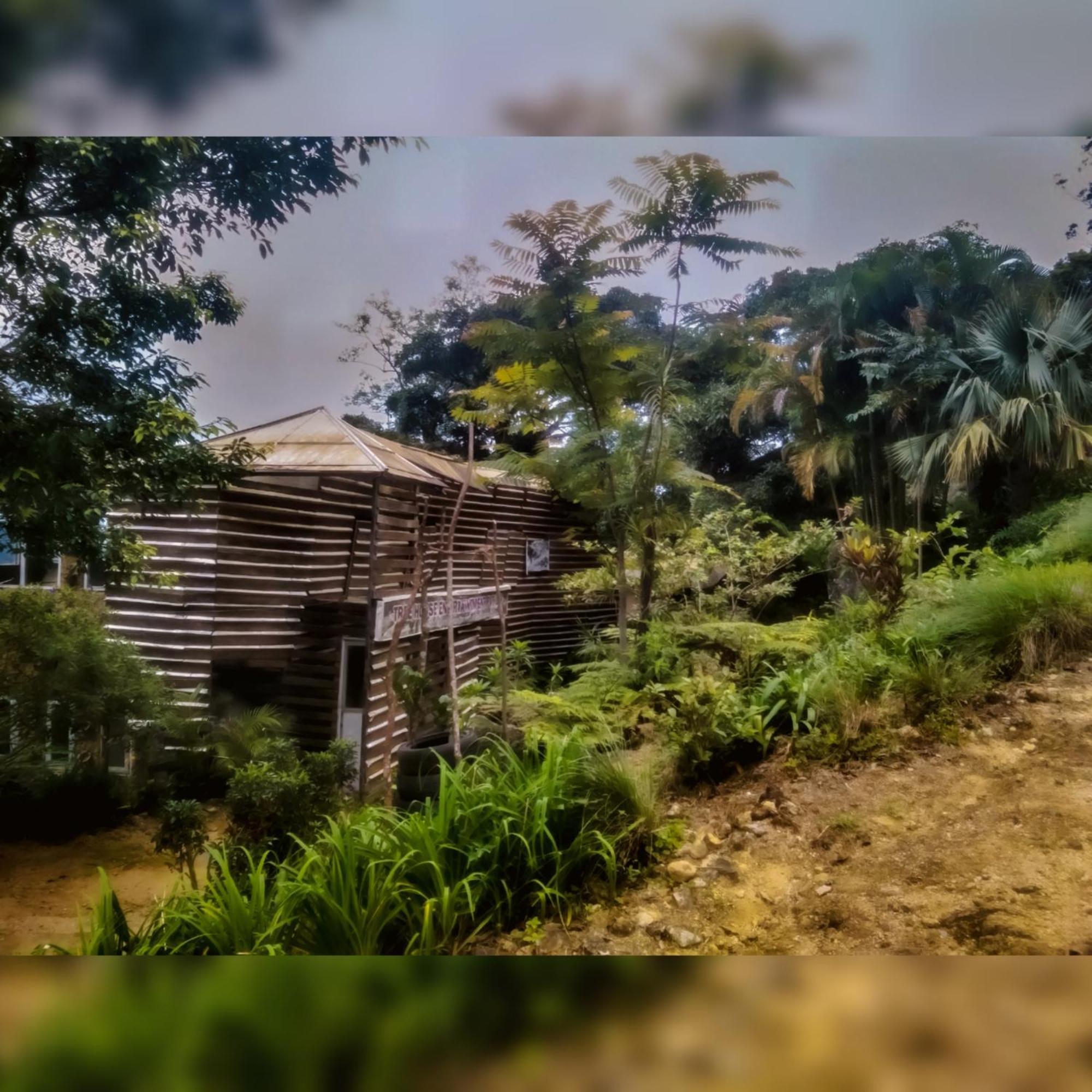 Jungle Tree House Rangala Bed and Breakfast Kandy Buitenkant foto